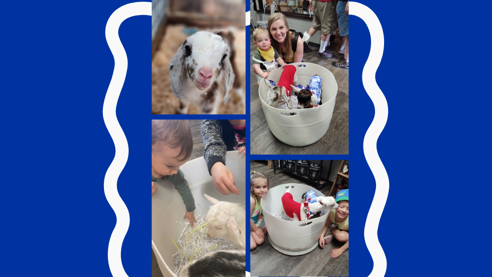 Free Baby Goat Petting | Patriotic Kids | May 23