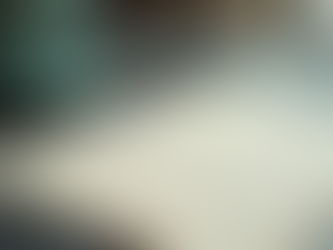 双语网站设计:A1 Web Studio 一对一服务