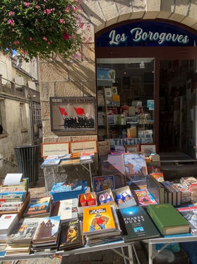 Boutique Les Borogoves Bouquiniste Librairie Morlaix Bretagne.jpg