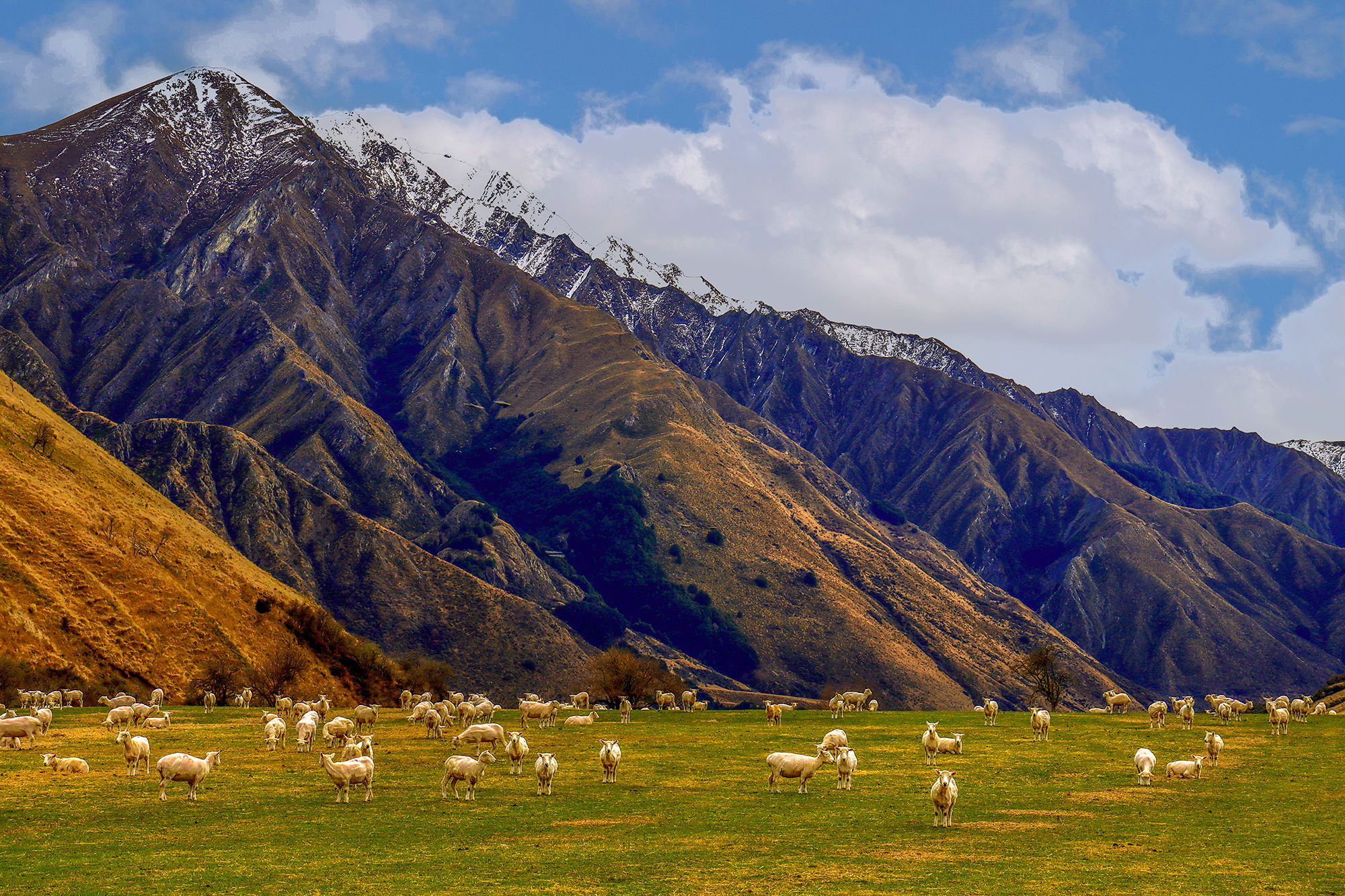 Beneath The High Country
