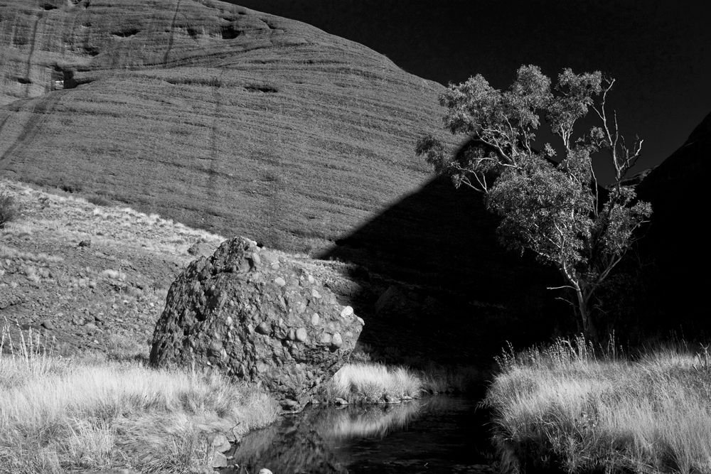 In The Shadow Of Stone