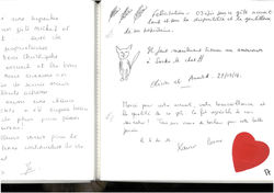 Gîte_Syringa_-_Livre_d'or_-_Page_17