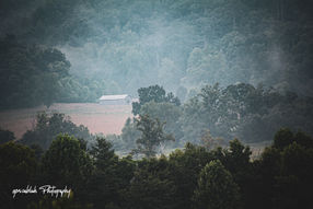 IMG_1575.jpg