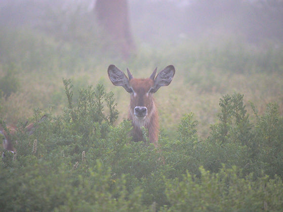 P1013447-1rr.jpg