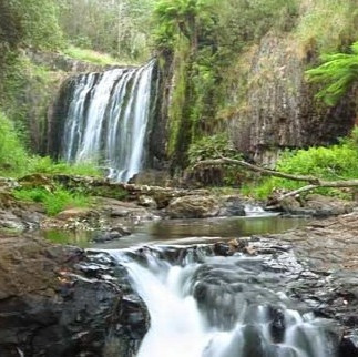The beautiful Guide Falls, Tasmania.