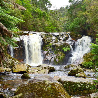 Halls Falls Tasmania