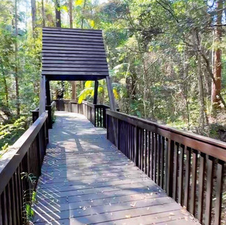 Maroochydore ~ Queensland