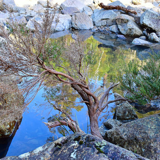 Apsley River Waterhole