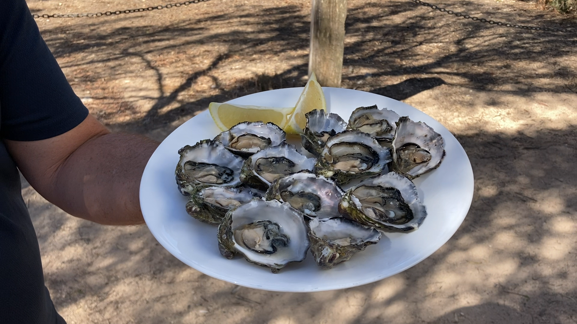 Oysters Kilpatrick in the Weber