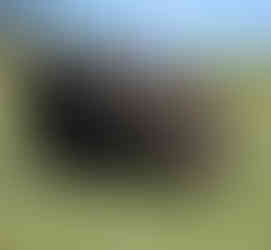 Cradle Mountain Tasmania