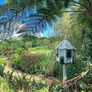 Maleny Botanic Gardens