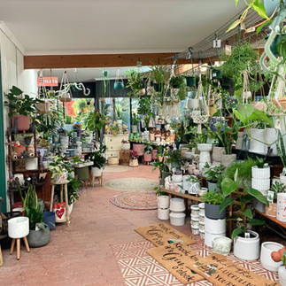 Willunga South Australia