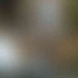 Clamshell Falls ~ Queensland