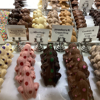 Montville ~ Queensland