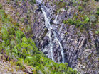 Horsetail Falls Tasmania
