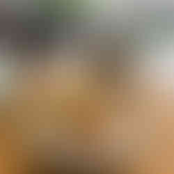 Tin Can Bay Queensland