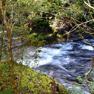 Bridal Veil Falls Tasmania