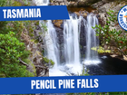 Pencil Pine Falls Cradle Mountain Tasmania