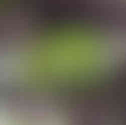 Champagne Falls Tasmania