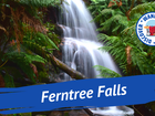 Ferntree Falls Victoria