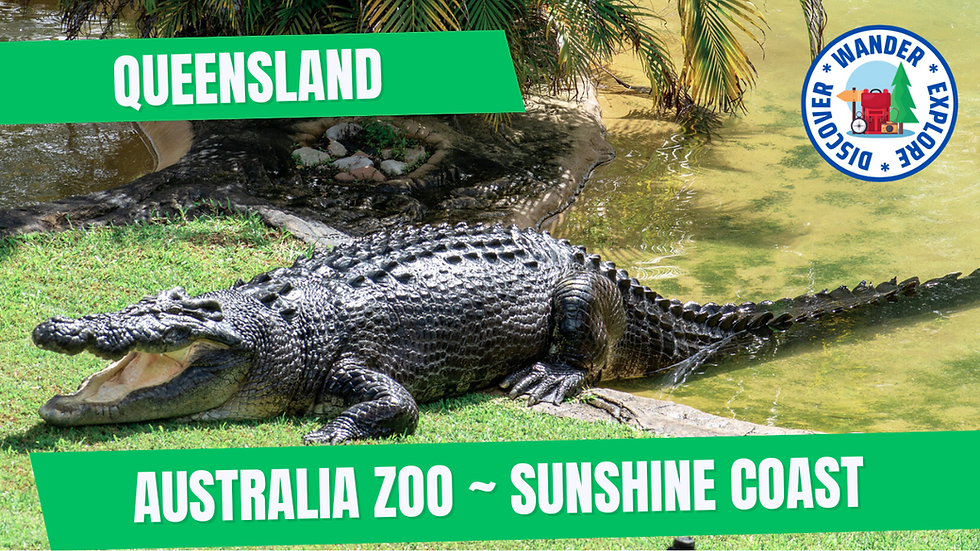 A Day at Australia Zoo - An Unforgettable Wildlife Experience