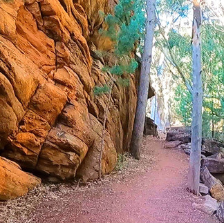 Hills Homestead Flinders Ranges