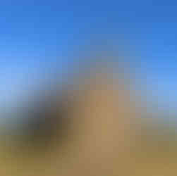 Campbell Town Tasmania