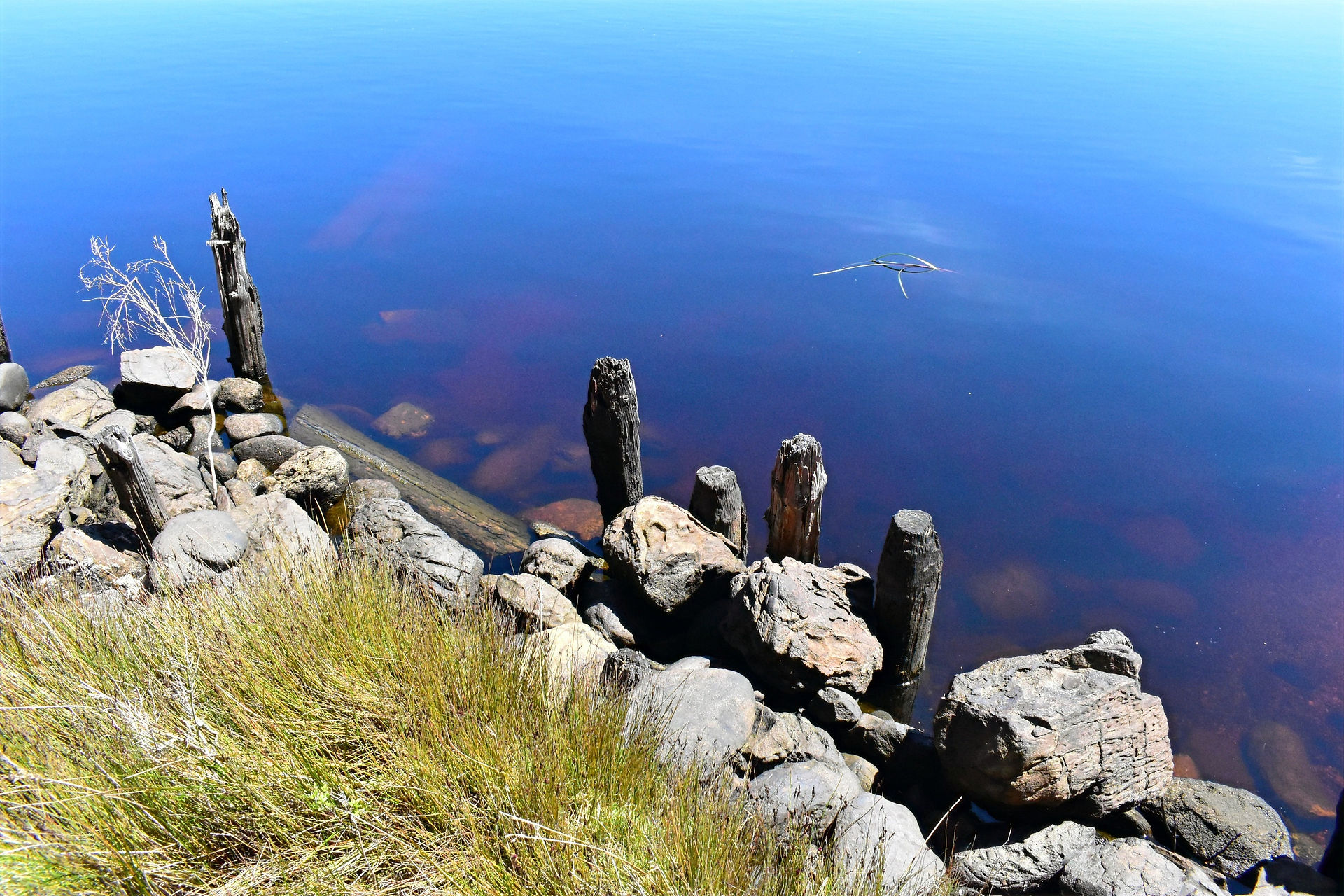 Gordon River Cruise Strahan
