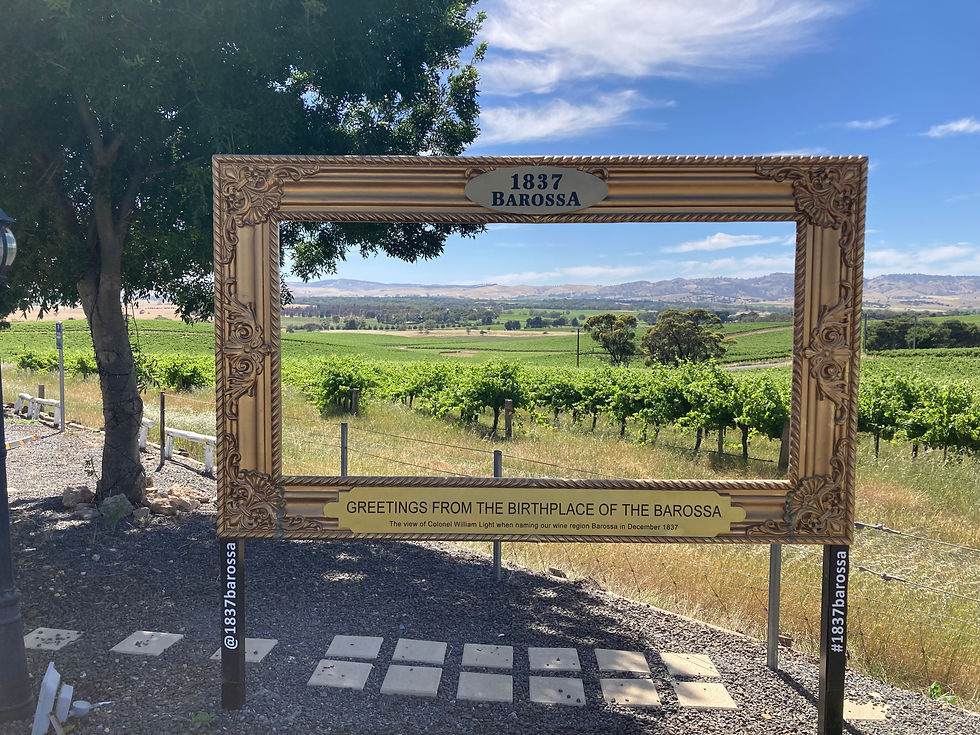 Barossa Valley Best Wineries