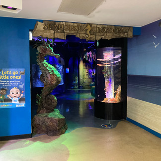 SEA LIFE Sunshine Coast