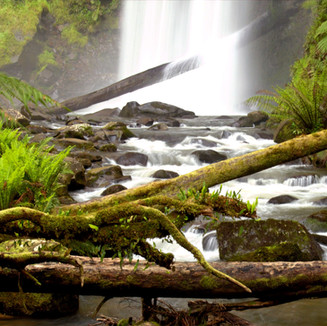 Hopetoun Falls The Otways