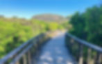 Mount Coolum ~ Sunshine Coast