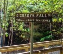 O'Gradys Falls Tasmania