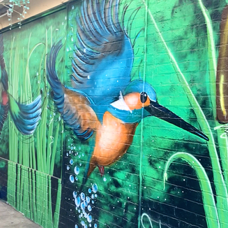 Albury to Echuca Road Trip