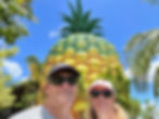 Big Pineapple ~ Sunshine Coast