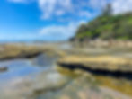 Shelly Beach Rockpools ~ Sunshine Coast