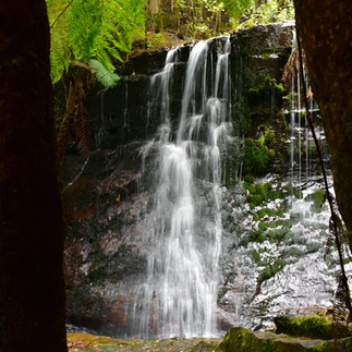 Silver Falls Tasmania