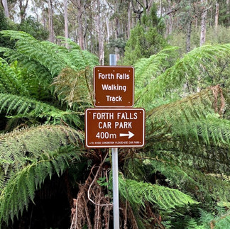 Forth Falls Tasmania
