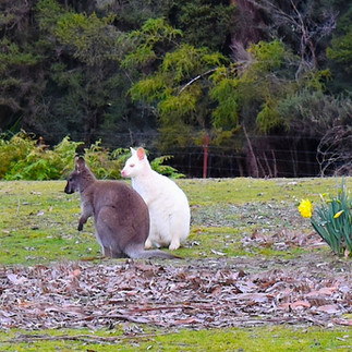 Adventure Bay Bruny Island