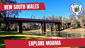 Moama, NSW – Best Things to Do on the Murray River