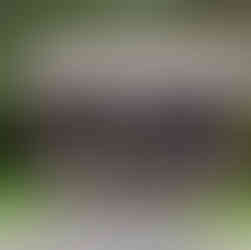 Franklin River Nature Trail