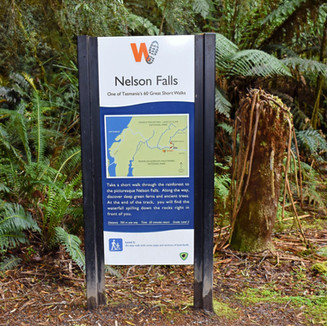 Nelson Falls Tasmania