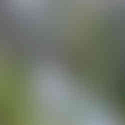 West Coast Wilderness Railway