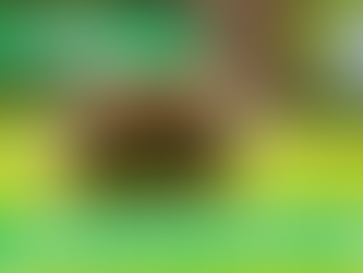 Mount Field National Park