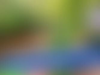 Franklin River Nature Trail