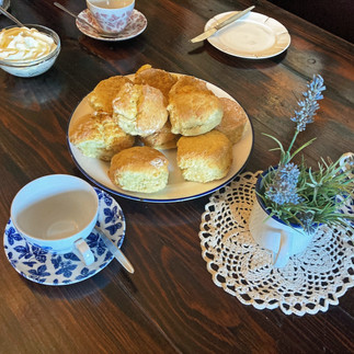 Stagecoach Ride Longreach