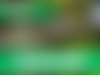 West Coast Tasmania Top 5 Must See Places