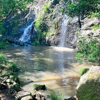 Robinson Falls ~ Queensland