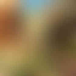 Alligator Gorge South Australia