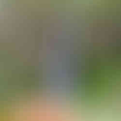 Meetus Falls Tasmania